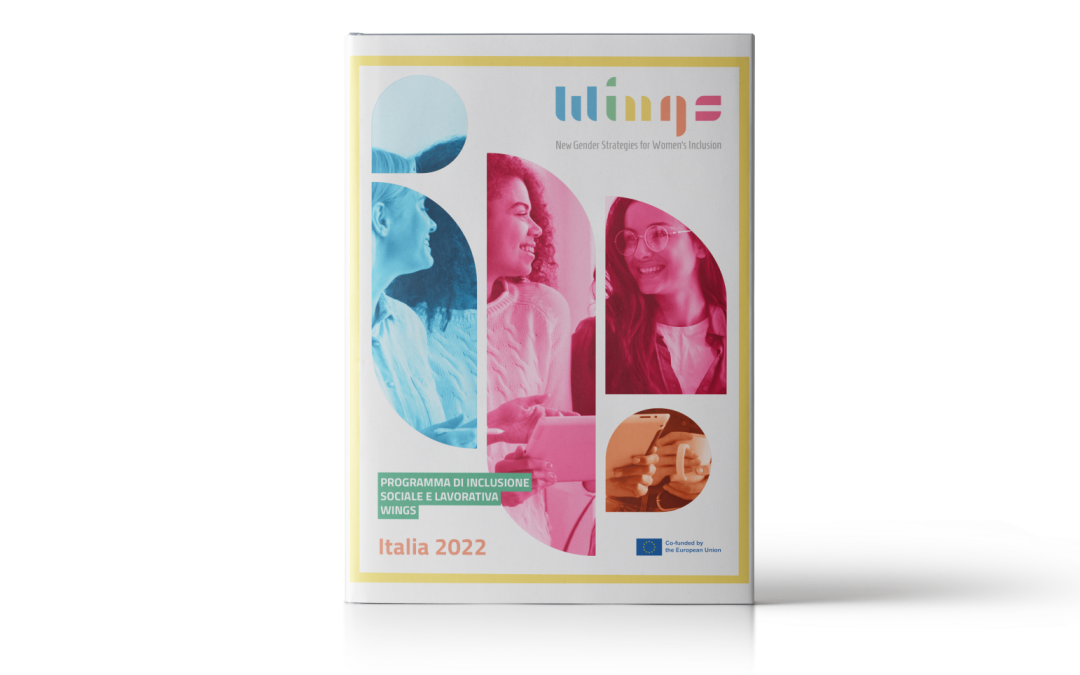 Social and labour inclusion programme